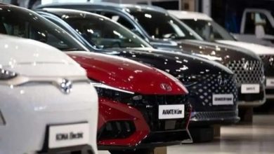 دستور رئیس پلیس راهور برای شماره‌گذاری خودروهای وارداتی جانبازان